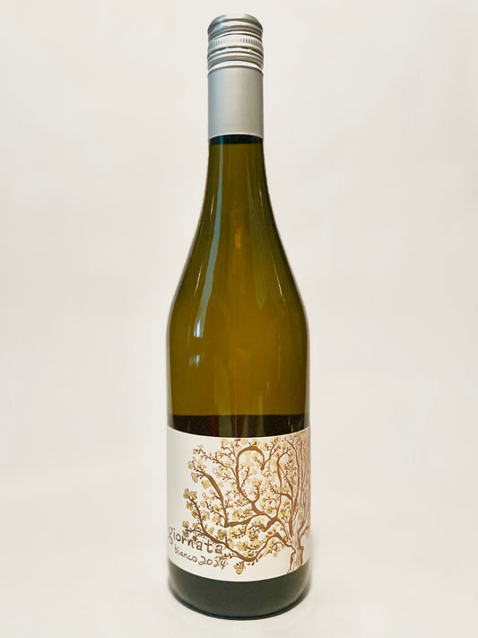 2024 Il Campo Bianco