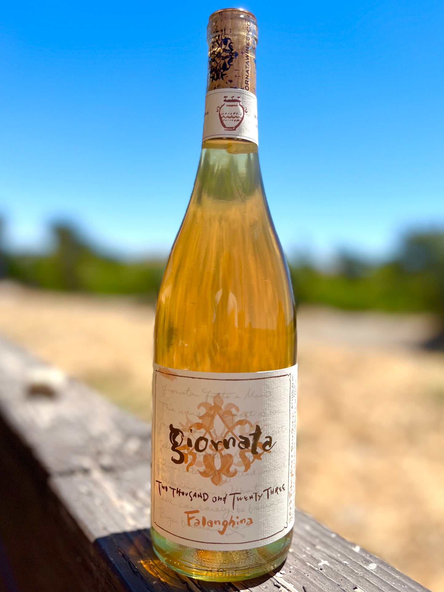 2023 Falanghina
