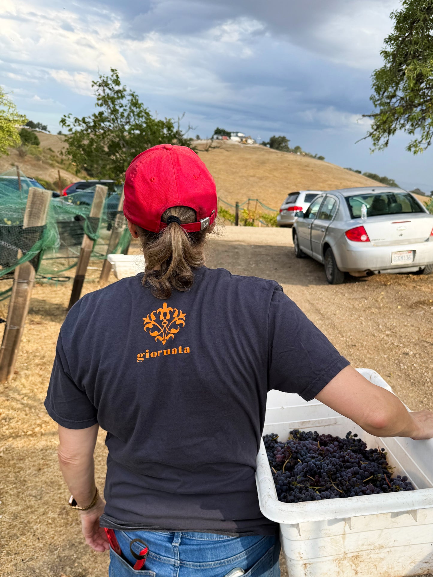 Molto Orangotango Gift Box